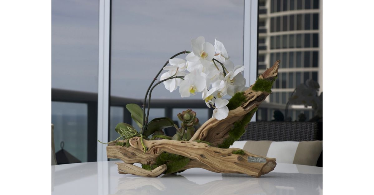 Phalaenopsis Orchid on Wood Centerpiece, Designed by Emilio Robba